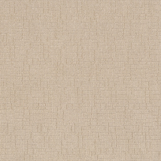 WAYFARER - Cotton Tail 00121