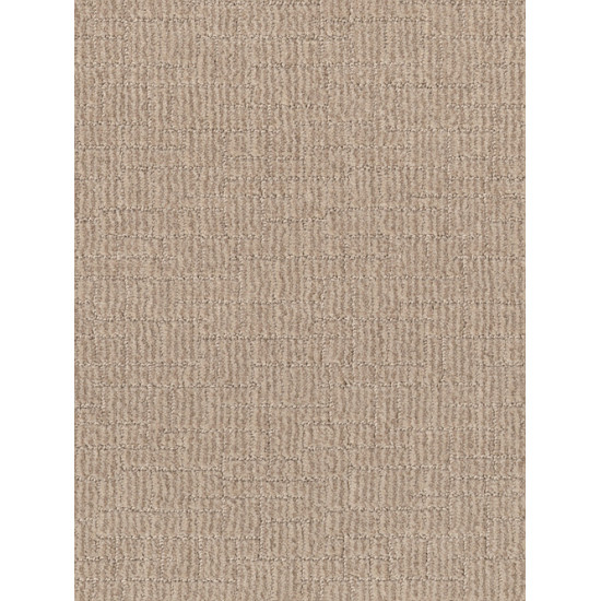 WAYFARER - Arizona Tan 00125 WAYFARER - Arizona Tan 00125