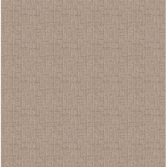 WAYFARER - Peanut Shell 00273 WAYFARER - Peanut Shell 00273