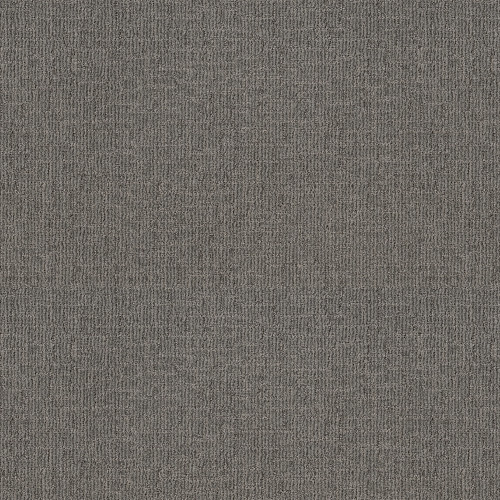 WAYFARER - Sharkskin 00557