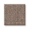 WAYFARER - Driftwood 00755