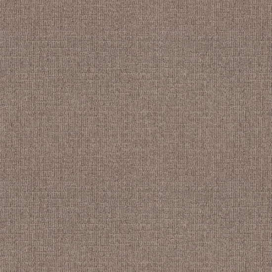 WAYFARER - Driftwood 00755 WAYFARER - Driftwood 00755