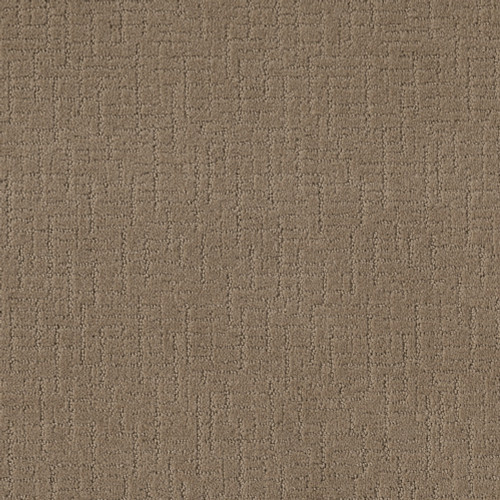 ONE MORE HOUR - Stucco Tan 00723