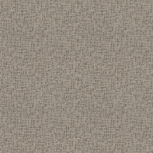 CABOODLE - Grounded 00753