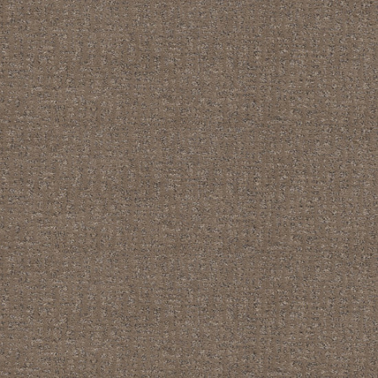 CABOODLE - Sable 00775 CABOODLE - Sable 00775