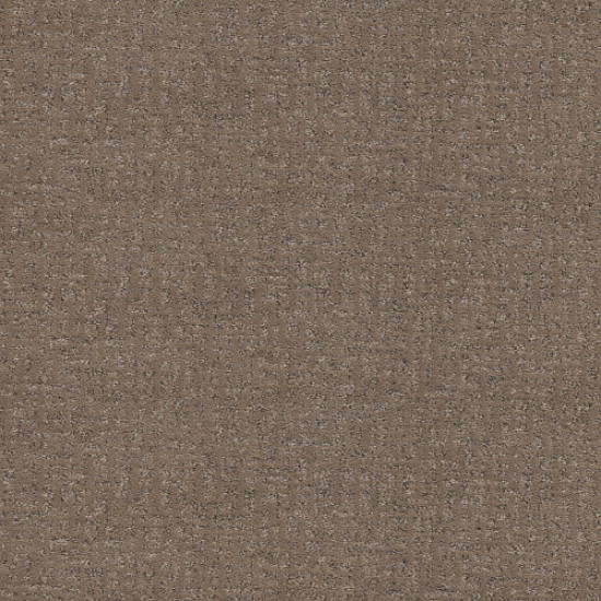 CABOODLE - Sable 00775 CABOODLE - Sable 00775