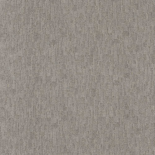 SNEAK PEEK - Still Gray 00554