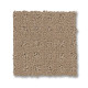 TOWN SQUARE - Beach Grass 00117 TOWN SQUARE - Beach Grass 00117
