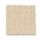 TOWN SQUARE - Linen 00121 TOWN SQUARE - Linen 00121