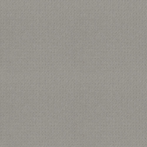 TOWN SQUARE - Silver Fox 00541