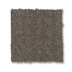 TOWN SQUARE - Potting Soil 00573 TOWN SQUARE - Potting Soil 00573