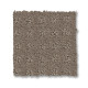 TOWN SQUARE - Shitake 00754 TOWN SQUARE - Shitake 00754