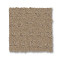 SOLSTICE - Beach Grass 00117