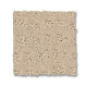 SOLSTICE - Ivory 00120 SOLSTICE - Ivory 00120