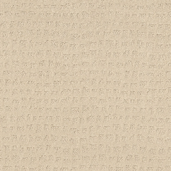 SOLSTICE - Linen 00121
