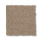 SOLSTICE - Spanish Sand 00154