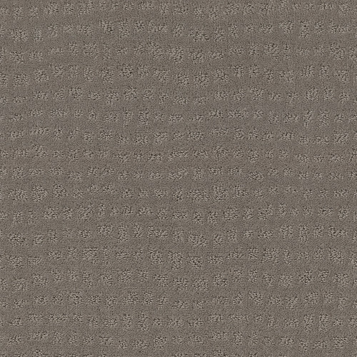 SOLSTICE - Still Gray 00515