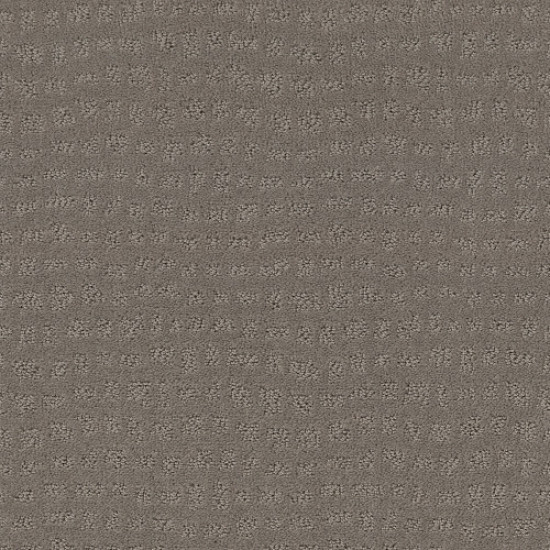 SOLSTICE - Still Gray 00515 SOLSTICE - Still Gray 00515
