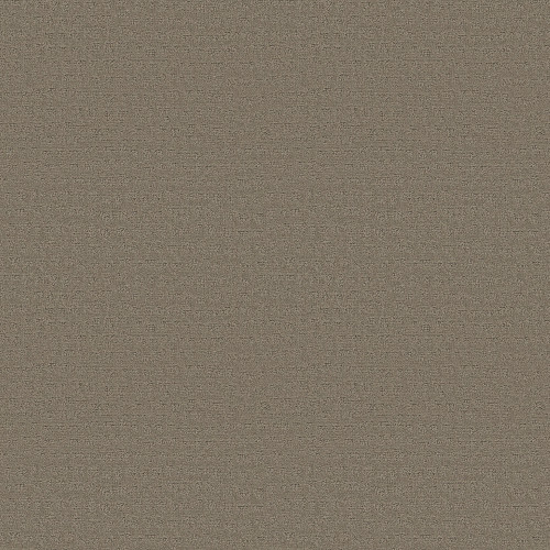 SOLSTICE - Koala 00553