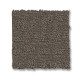 SOLSTICE - Potting Soil 00573