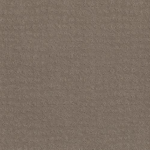SOLSTICE - Shitake 00754