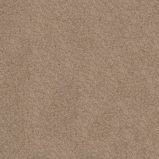 TOPANGA CANYON - Basic Tan 0722B