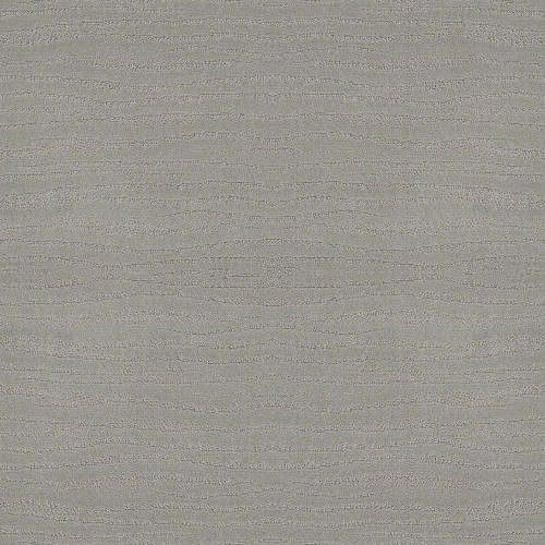 CAPISTRANO - Silver Fox 00541
