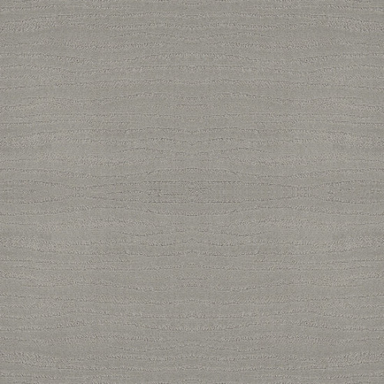 CAPISTRANO - Silver Fox 00541