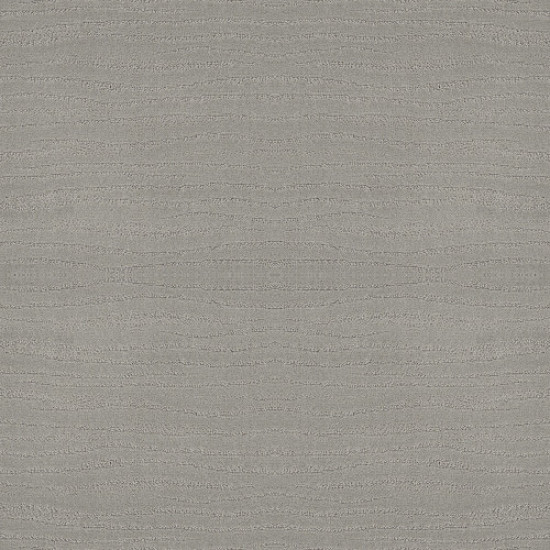 CAPISTRANO - Silver Fox 00541