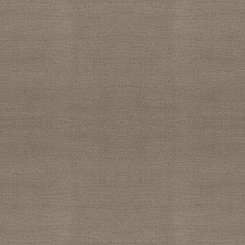 CAPISTRANO - Koala 00553
