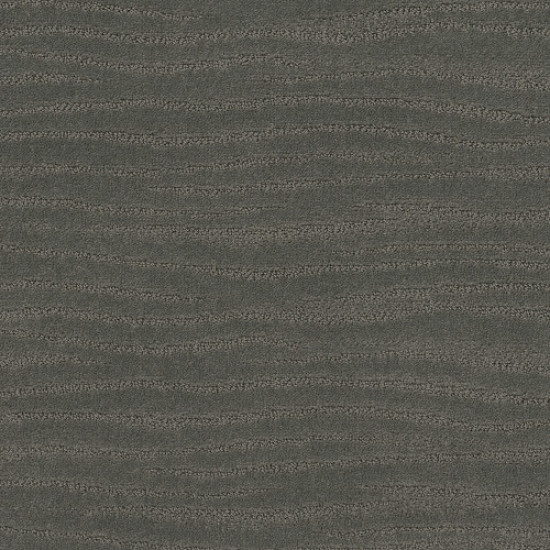 CAPISTRANO - Pewter 00558