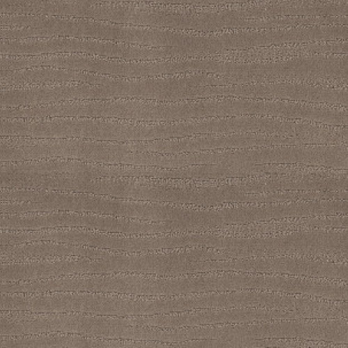 CAPISTRANO - Shitake 00754