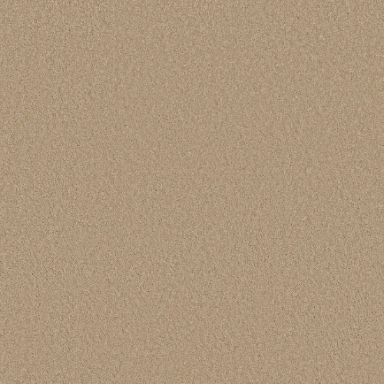ENCHANTING - Transparent 00114