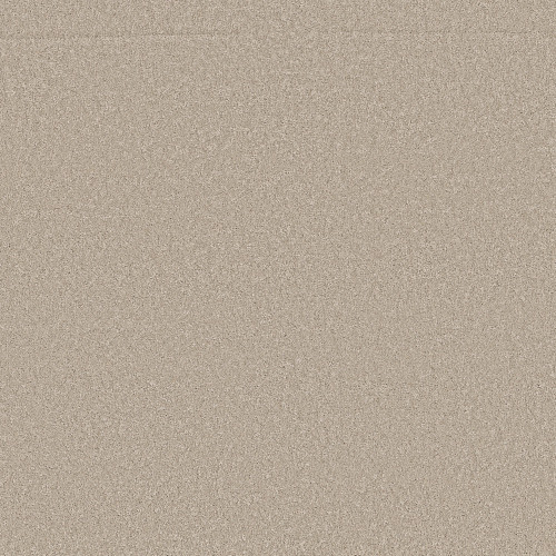 ENCHANTING - Sandshell 00172