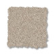 ENCHANTING - Sandshell 00172 ENCHANTING - Sandshell 00172