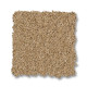 ENCHANTING - Winter Wheat 00224 ENCHANTING - Winter Wheat 00224