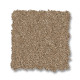 ENCHANTING - Biscotti 00724 ENCHANTING - Biscotti 00724