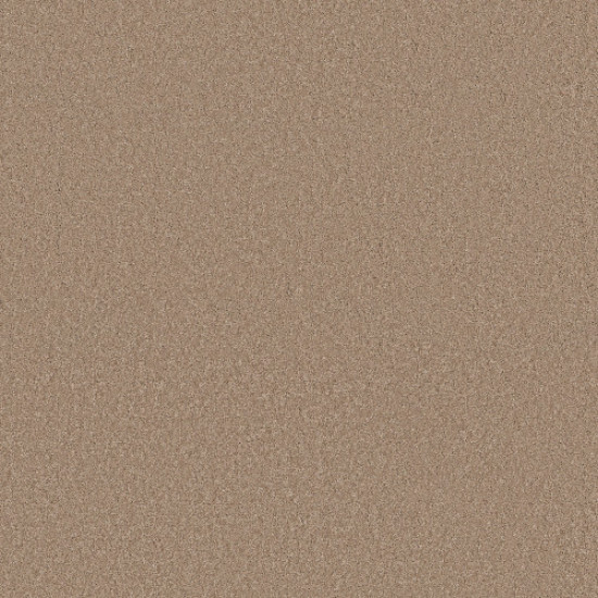 ENCHANTING - Warm Sand 00764