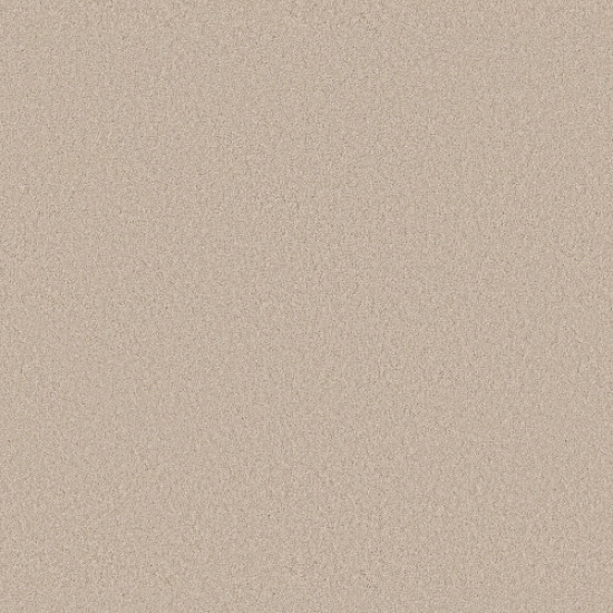 ENDURING CHARM - Tapioca 00162