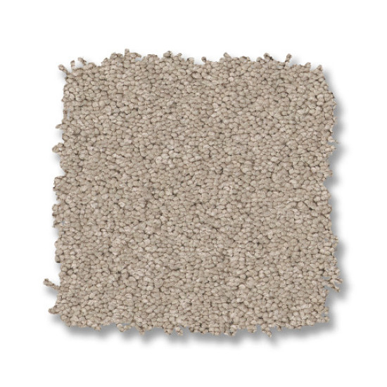 ENDURING CHARM - Sandshell 00172 ENDURING CHARM - Sandshell 00172