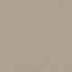 ENDURING CHARM - Sandshell 00172 ENDURING CHARM - Sandshell 00172