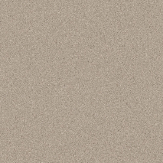 ENDURING CHARM - Sandshell 00172 ENDURING CHARM - Sandshell 00172