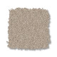 ENDURING CHARM - Sandshell 00172 ENDURING CHARM - Sandshell 00172