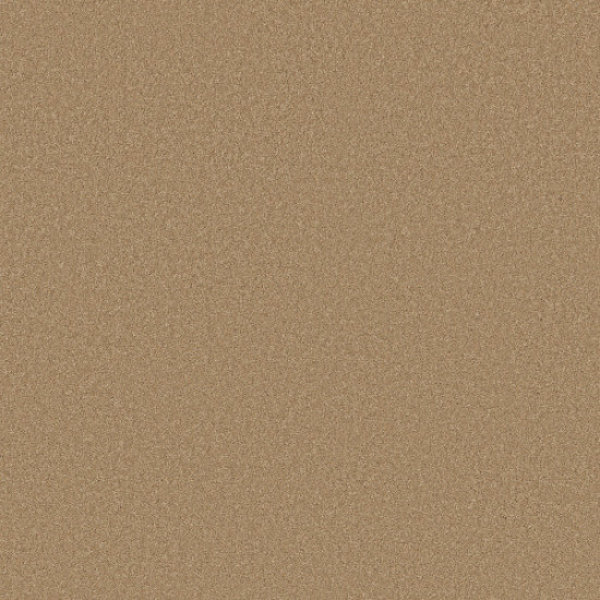 ENDURING CHARM - Winter Wheat 00224