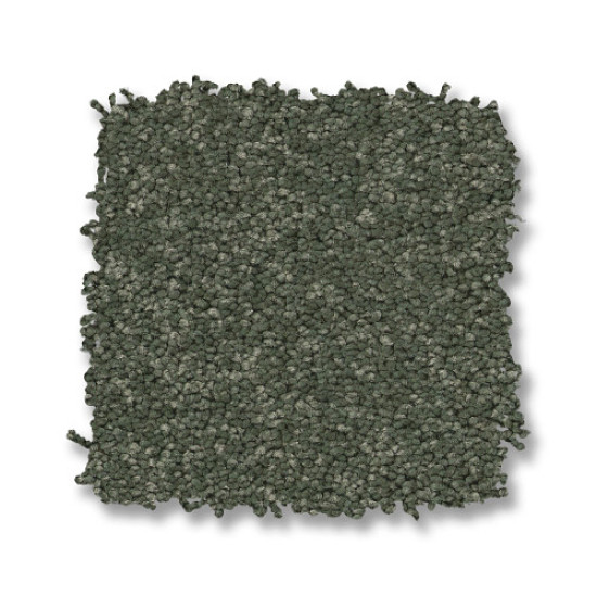 ENDURING CHARM - Bereyl 00348 ENDURING CHARM - Bereyl 00348