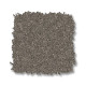 ENDURING CHARM - Lunar Rock 00555 ENDURING CHARM - Lunar Rock 00555