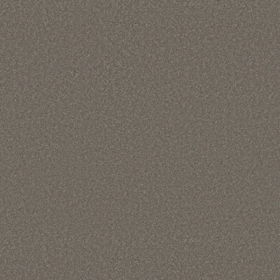 ENDURING CHARM - Lunar Rock 00555 ENDURING CHARM - Lunar Rock 00555