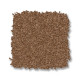 ENDURING CHARM - Autumn Glaze 00675 ENDURING CHARM - Autumn Glaze 00675