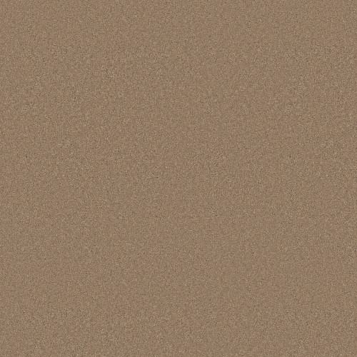 ENDURING CHARM - Biscotti 00724