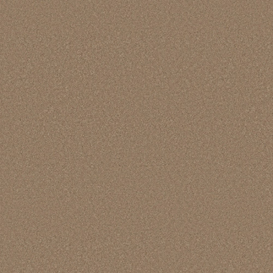 ENDURING CHARM - Biscotti 00724
